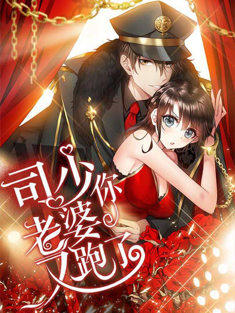司少你老婆又跑了漫画封面