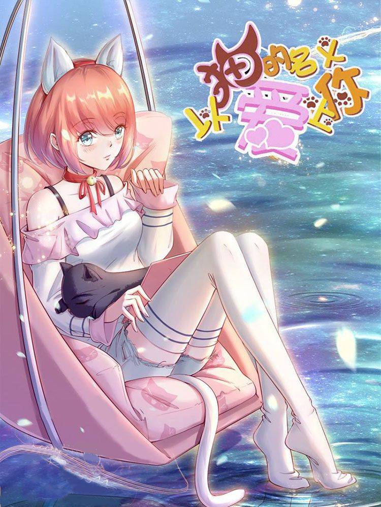 以猫的名义爱上你漫画封面